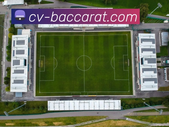 百家乐官网积极投资于研究和发展，保持技术领先地位。百家乐平台百家乐集团官网APP 封面图